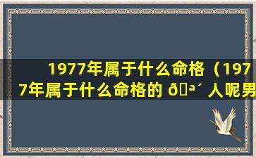 1977年属于什么命格（1977年属于什么命格的 🪴 人呢男）